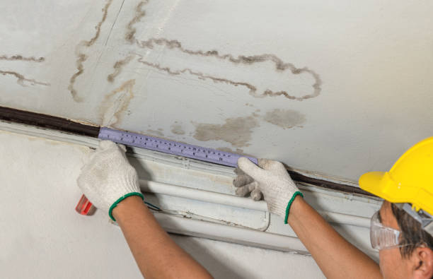 Reliable Burst Pipe Cleanup contractor in Princeton, IL by Water Damage Irwin